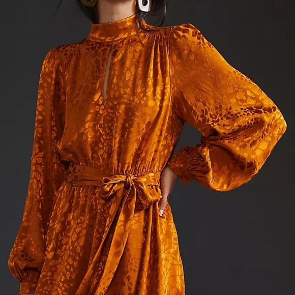 Sandra Darren Rattle Snake Silk Dress - Picture 10 of 11